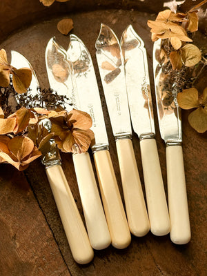 Set of six vintage fish knives