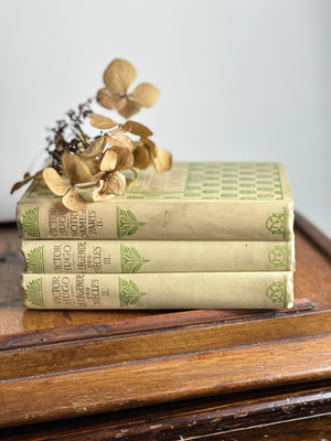 Set of three French vintage Victor Hugo books: green and gold