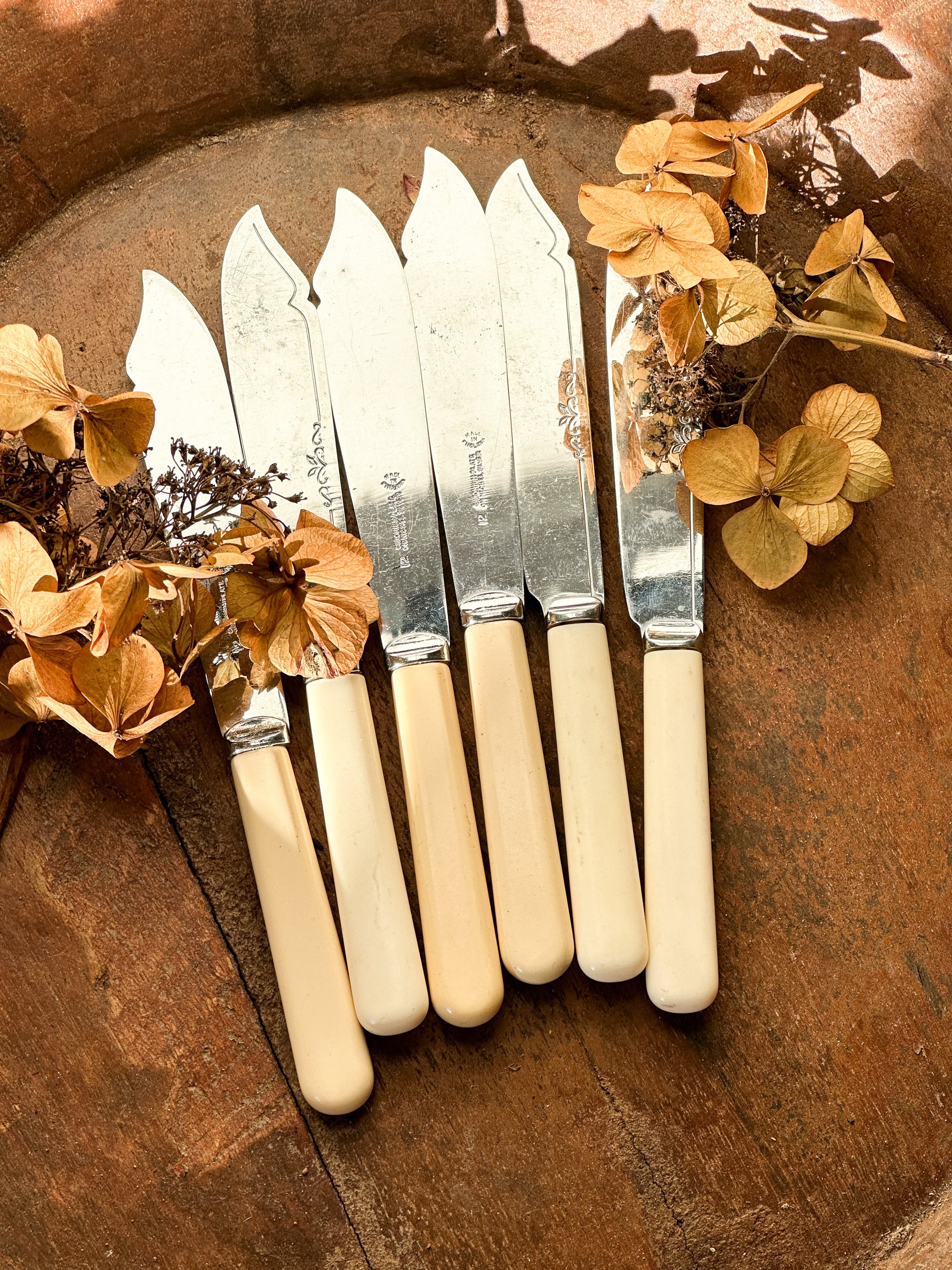 Set of six vintage fish knives