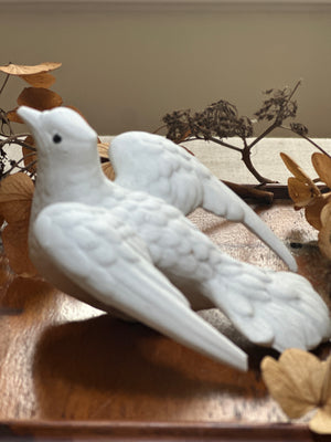 Limoges French bisque porcelain dove