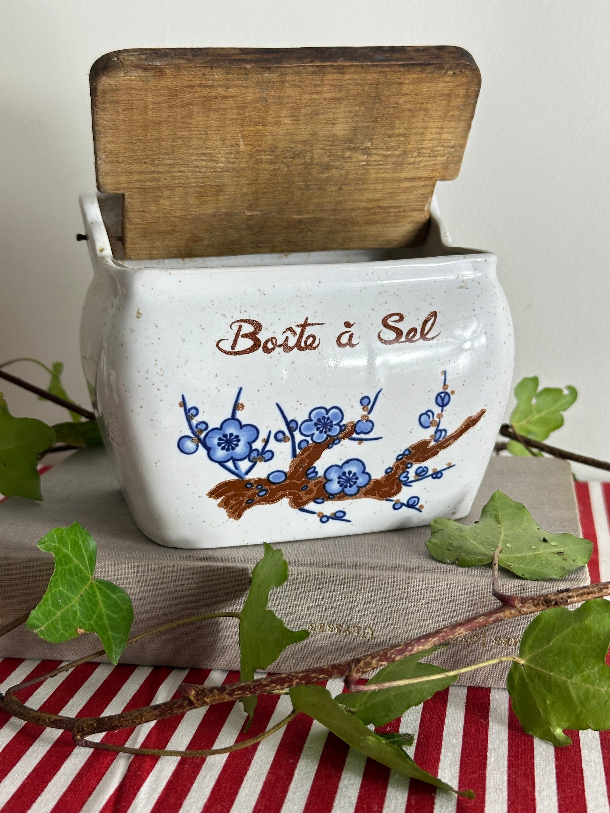 Vintage French salt box