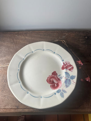 Vintage French floral Digoin Sarreguemines bowl and plate set