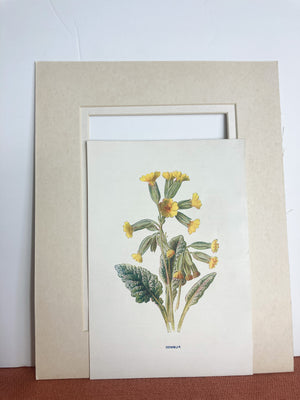 Victorian Floral Bookplate Print