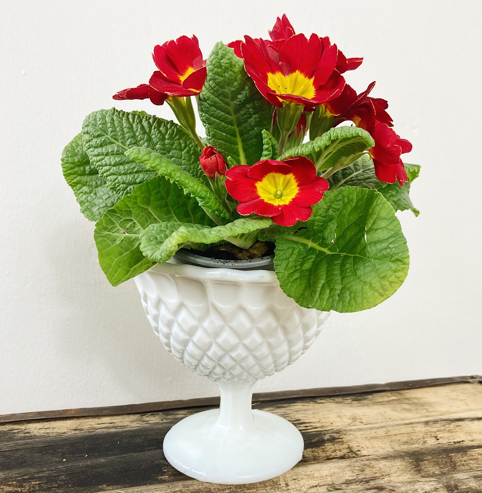 Diamond cut milk glass pedestal bowl