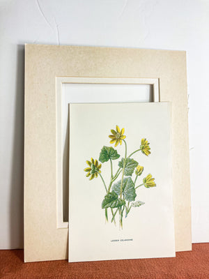 Victorian Floral Bookplate Print