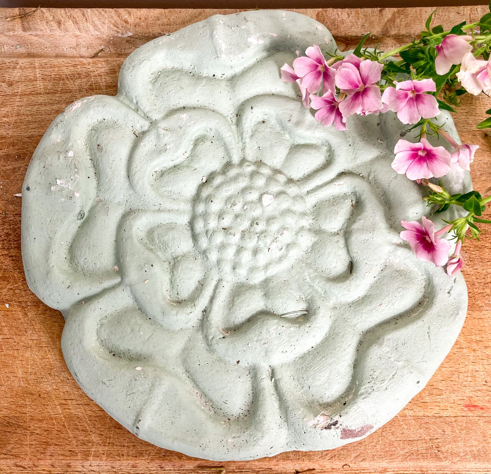 Decorative plaster rose
