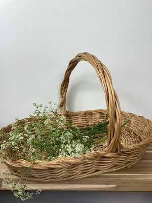 French wicker bread basket