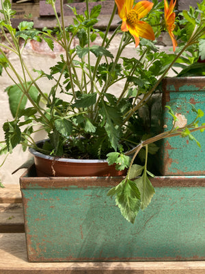 Green Metal Filing box or Planter