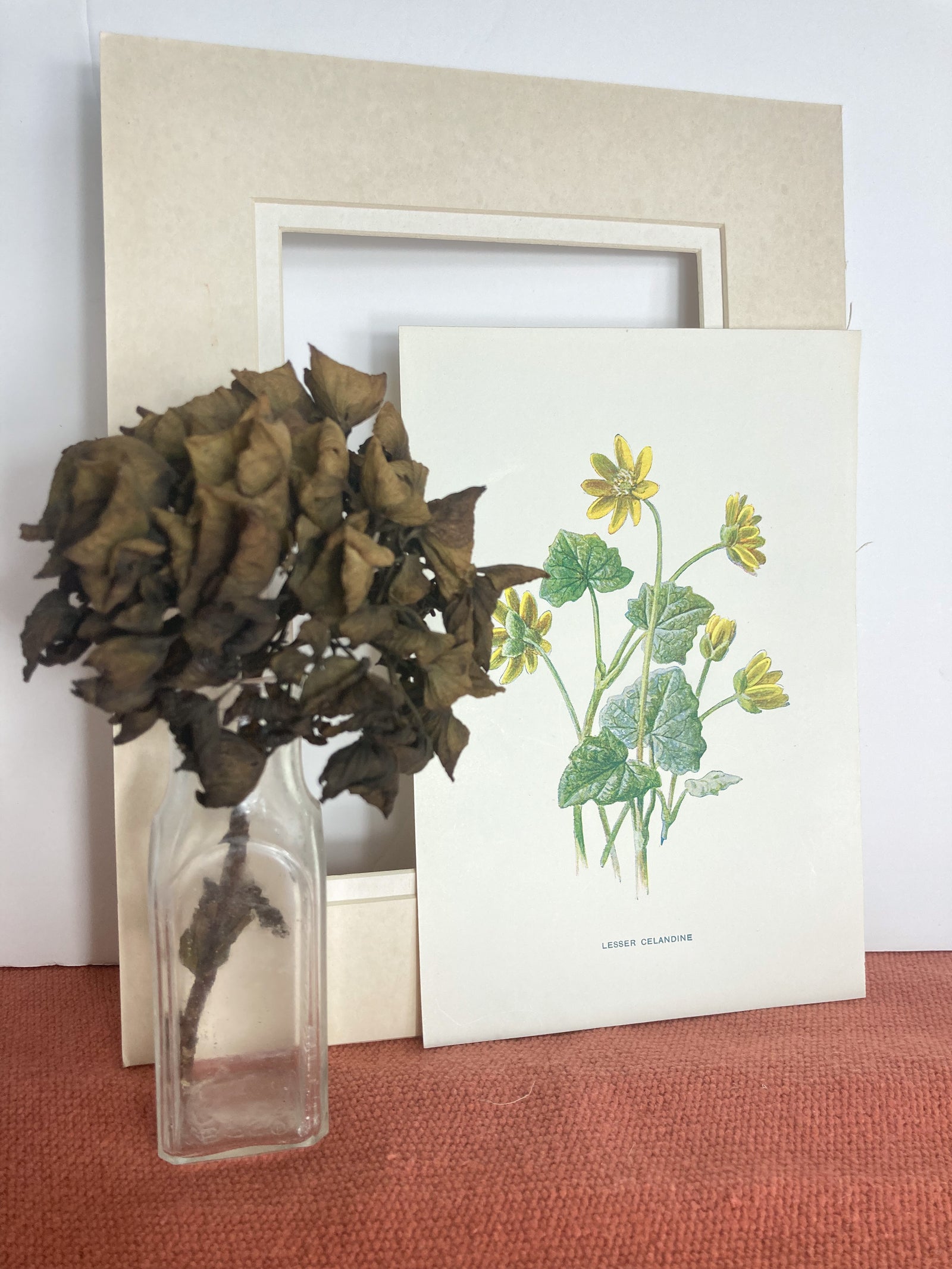 Victorian Floral Bookplate Print