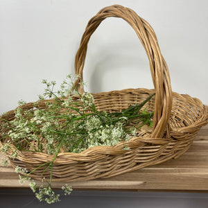 French wicker bread basket